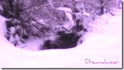 purple winter