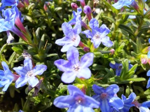 Das Frühlingswetter machte ein zu Hause bleiben zur Herausforderung