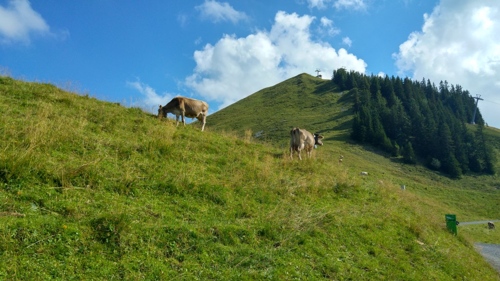 Die wunderschöne Klewenalp