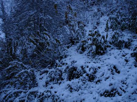 Handybilder 034